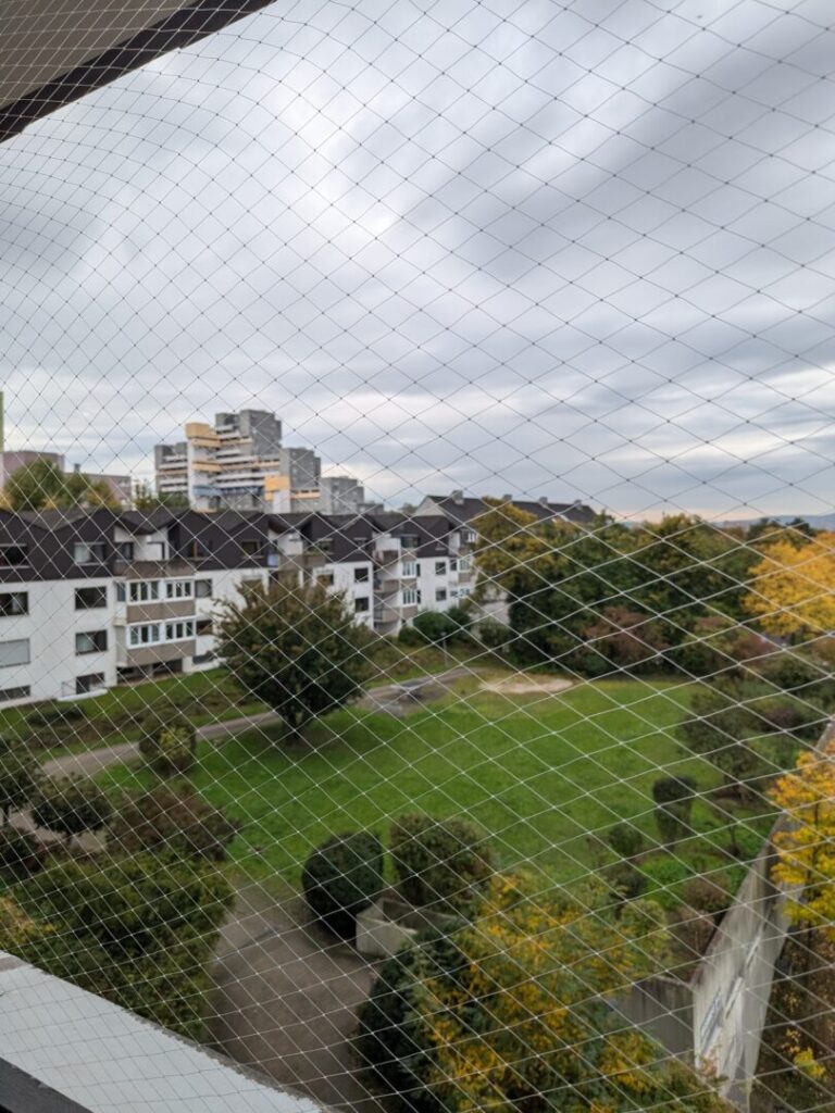 PXL_20241014_102151547